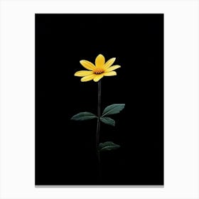 Single Yellow Flower 26 Canvas Print