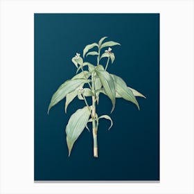 Vintage Commelina Zanonia Botanical Art on Teal Blue n.0968 Canvas Print