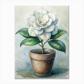 Magnolia 1 Canvas Print