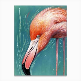 Flamingo 15 Canvas Print