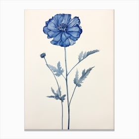 Blue Botanical Everlasting Flower 2 Canvas Print