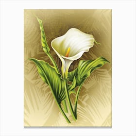 Calla Lily Canvas Print