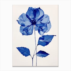 Blue Botanical Poinsettia Canvas Print