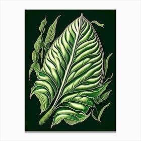 Comfrey Leaf Vintage Botanical 3 Canvas Print