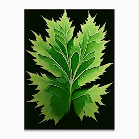 Wormwood Leaf Vibrant Inspired 2 Canvas Print