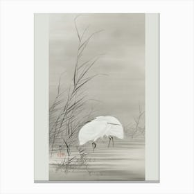 Egrets In A Swamp (1877 1945), Ohara Koson Canvas Print