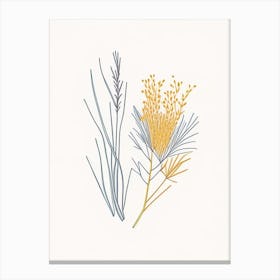 Ephedra Spices And Herbs Minimal Line Drawing 2 Canvas Print