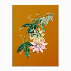 Vintage Mrs. Marryat's Tacsonia Flower Botanical on Sunset Orange n.0430 Canvas Print