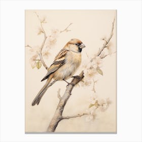 Vintage Bird Drawing Finch 1 Canvas Print