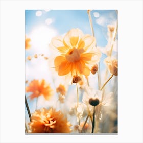 Dahlias Canvas Print