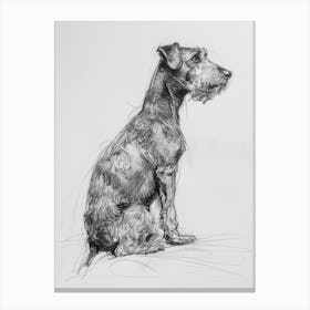  Lakeland Terrier Dog Charcoal Line 2 Canvas Print