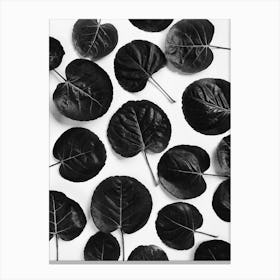 Black Leaves Canvas Print