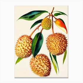 Durian Watercolour Fruit Painting Fruit Canvas Print