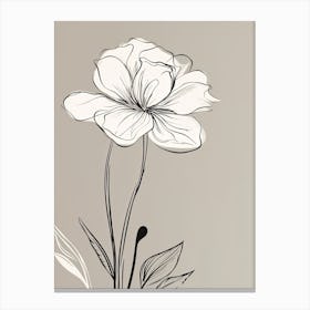 Daffodils Line Art Flowers Illustration Neutral 6 Canvas Print