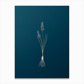 Vintage Autumn Squill Botanical Art on Teal Blue n.0125 Canvas Print