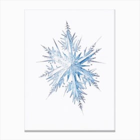 Crystal, Snowflakes, Pencil Illustration 3 Canvas Print