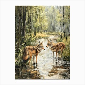 Coyotes At The Stream In The Woods Canvas Print