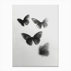 Dance Of The Butterflies No 2 Canvas Print