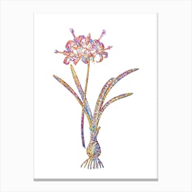 Stained Glass Guernsey Lily Mosaic Botanical Illustration on White n.0120 Canvas Print