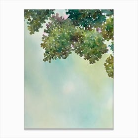 Acropora Gomezi Storybook Watercolour Canvas Print