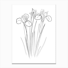 Iris Line Drawing Black & White Canvas Print