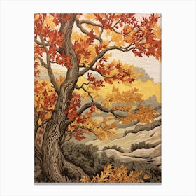 Eastern Cottonwood 1 Vintage Autumn Tree Print  Canvas Print