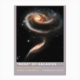 Rose Of Galaxies 1 Canvas Print