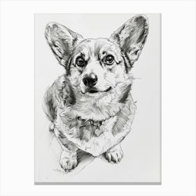 Corgi Dog Line Sketch 1 Canvas Print