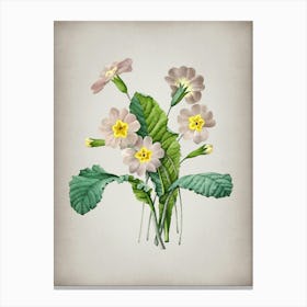 Vintage Grandiflora Botanical on Parchment n.0964 Canvas Print