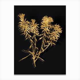 Vintage Garland Flowers Botanical in Gold on Black n.0351 Canvas Print