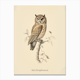 Vintage Owl 2 Poster Canvas Print