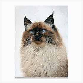 Himalayan Cat Painting 2 Canvas Print