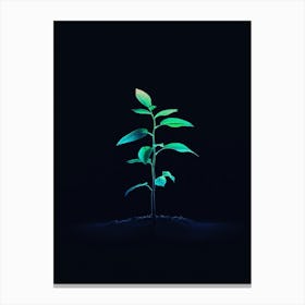 Tree In The Dark 42 Canvas Print