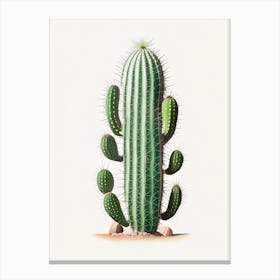 Trichocereus Cactus Marker Art 2 Canvas Print