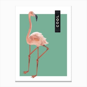 Cool Flamingo Canvas Print