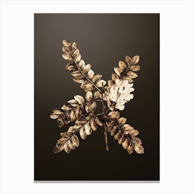 Gold Botanical Clammy Locust on Chocolate Brown n.3805 Canvas Print