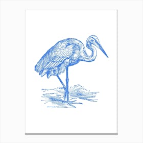 Heron 2 Canvas Print