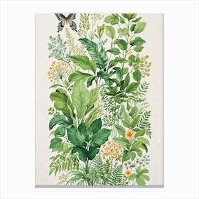 Botanical Garden Canvas Print