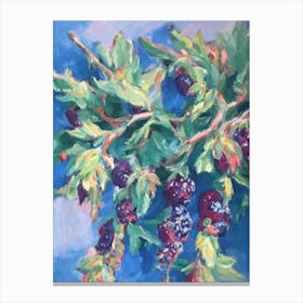 Marionberry 2 Classic Fruit Canvas Print