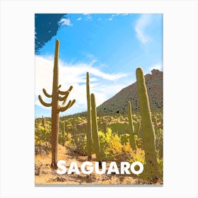 Saguaro, National Park, Nature, USA, Wall Print, Canvas Print
