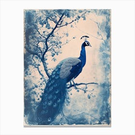 Blue & White Peacock On A Tree Cyanotype Canvas Print
