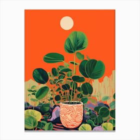Boho Plant Painting Chinese Money Plant Canvas Print