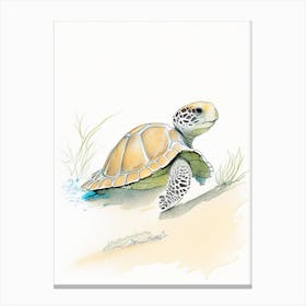 Hatching Sea Turtle, Sea Turtle Pencil Illustration 2 Canvas Print