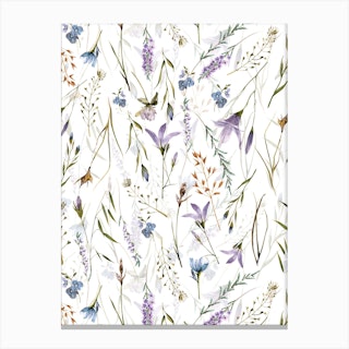 Scandinavian Midsummer Wildflowers And Grasses Meadow Canvas Print