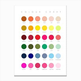 Colour Chart Canvas Print