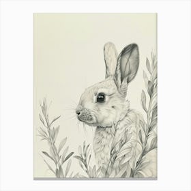 Thrianta Rabbit Drawing 3 Canvas Print