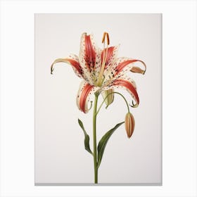 Pressed Flower Botanical Art Gloriosa Lily 4 Canvas Print