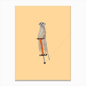 Meerkat On A Pogo Stick Canvas Print
