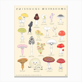 Poisonous Mushrooms Canvas Print