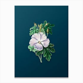 Vintage Wray's Hibiscus Flower Botanical Art on Teal Blue n.0553 Canvas Print